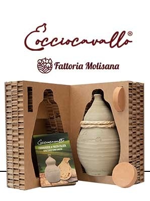 cocciocavallo_004